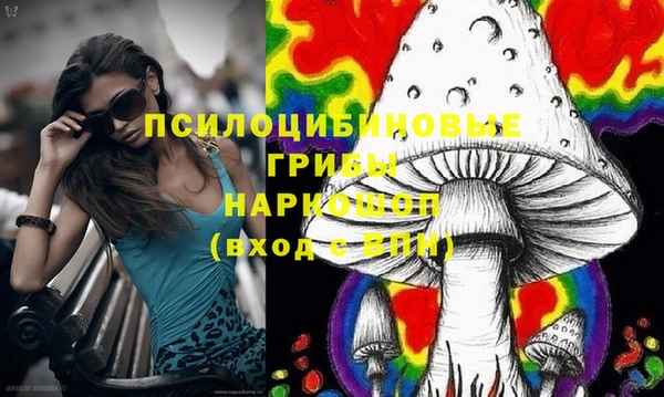 спиды Бронницы